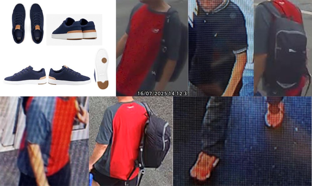 updated collage.jpg
