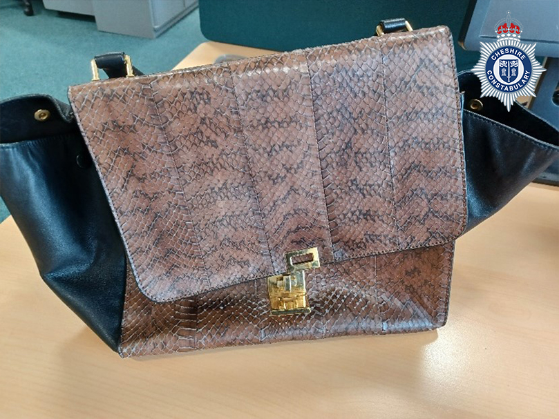 Property - Celine Handbag