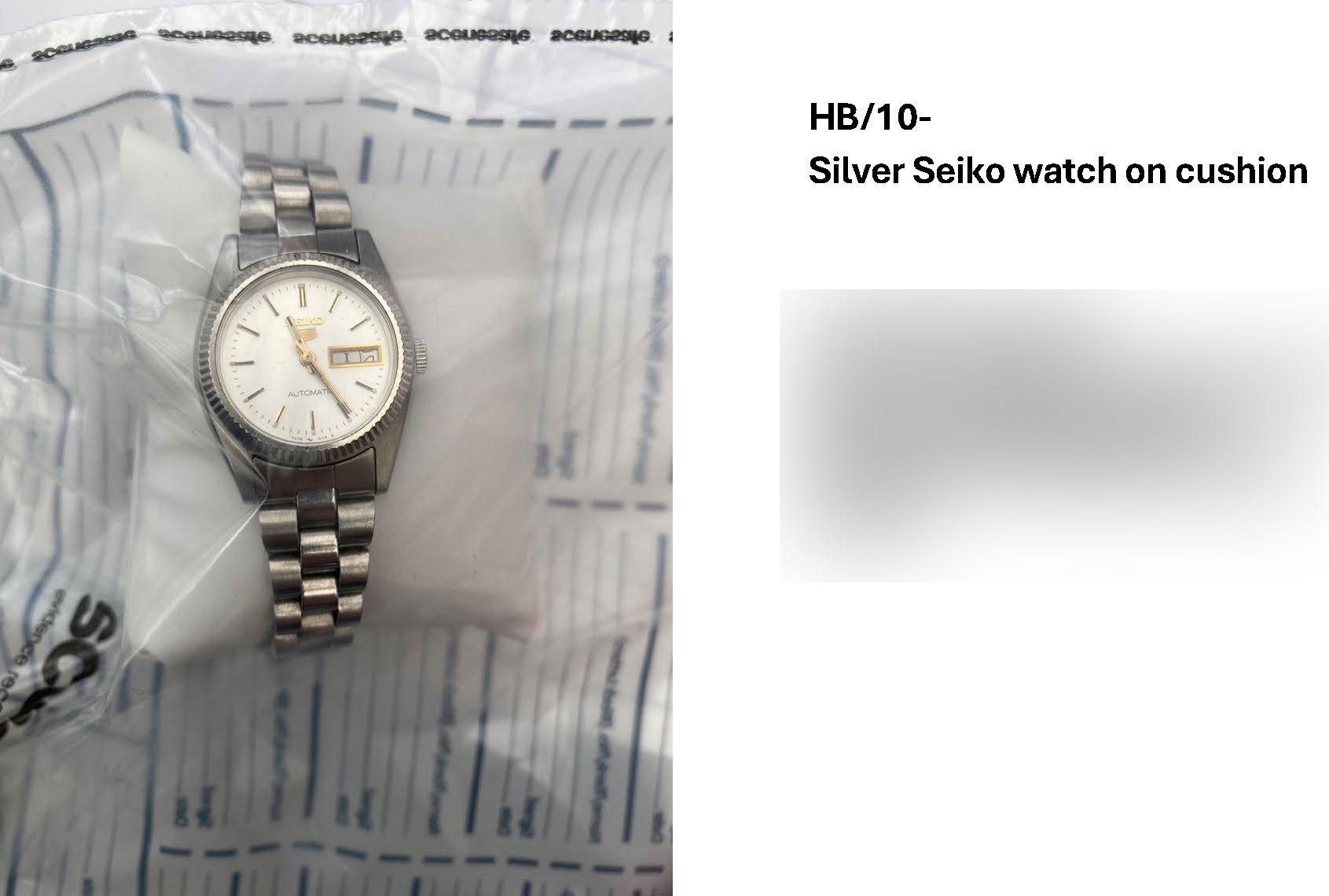 HB10 Silver Seiko watch.jpg