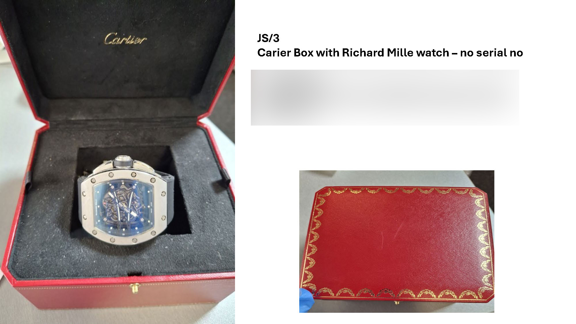 JS3 Carier box with Richard Mille watch.jpg