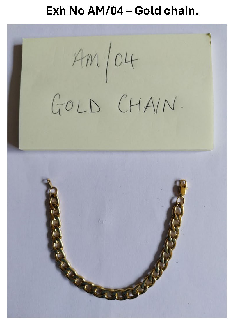 AM04 Gold chain.jpg