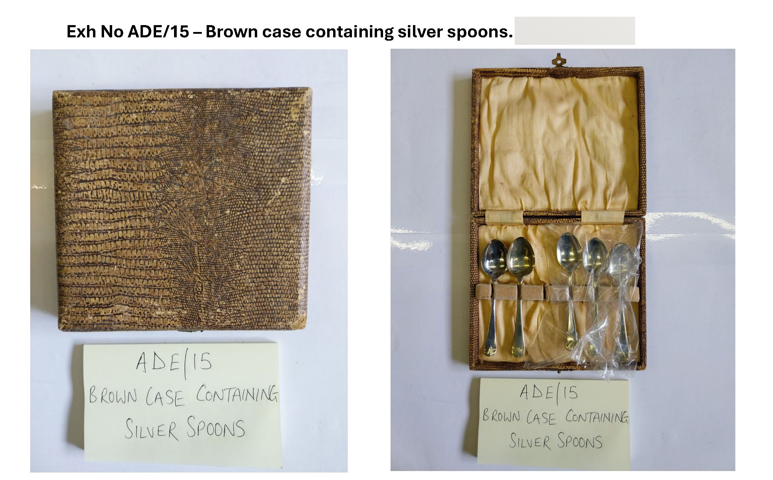 ADE15 Brown case containing spoons.jpg