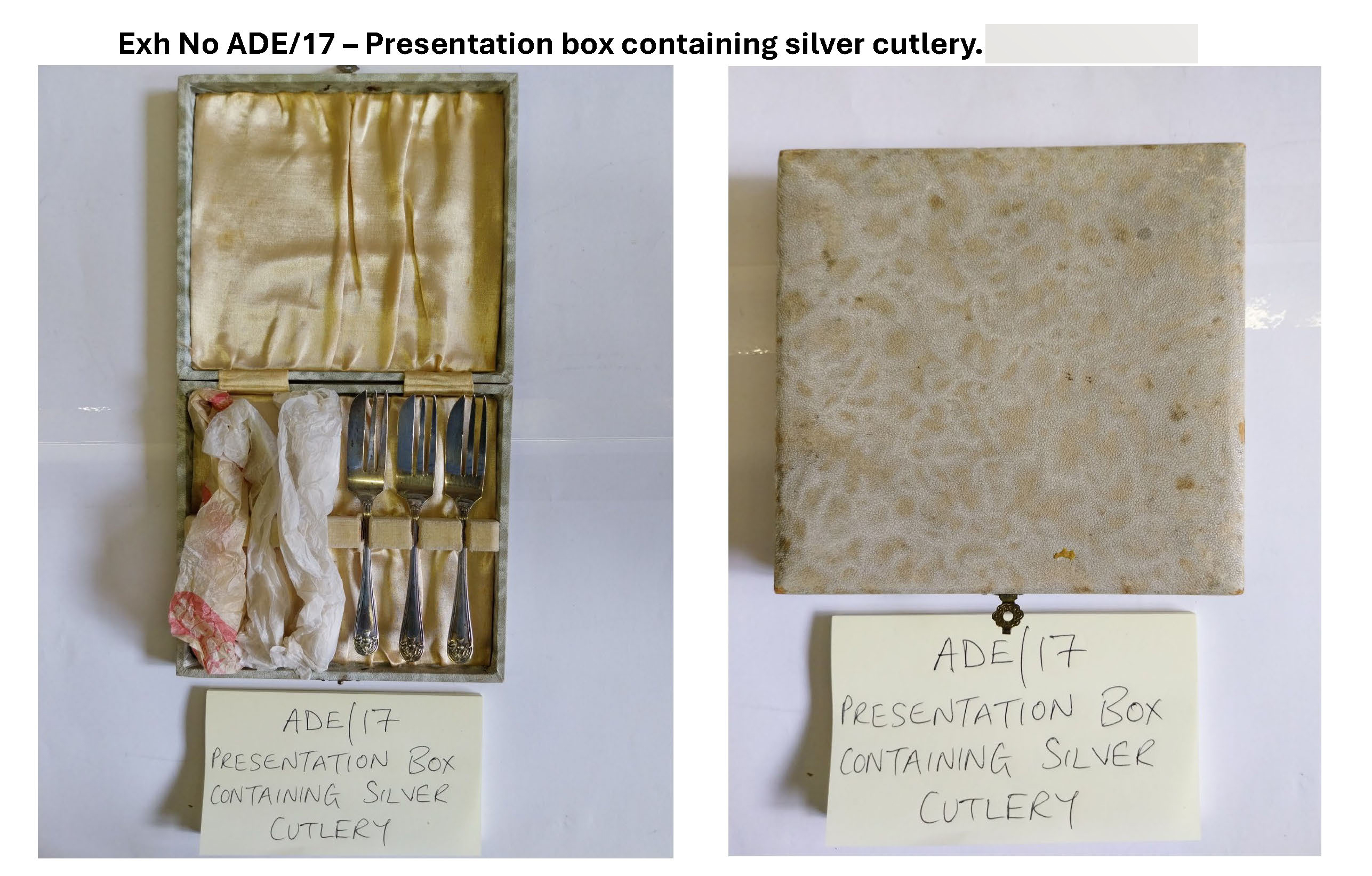 ADE17 Presentation box containing silver cutlery.jpg