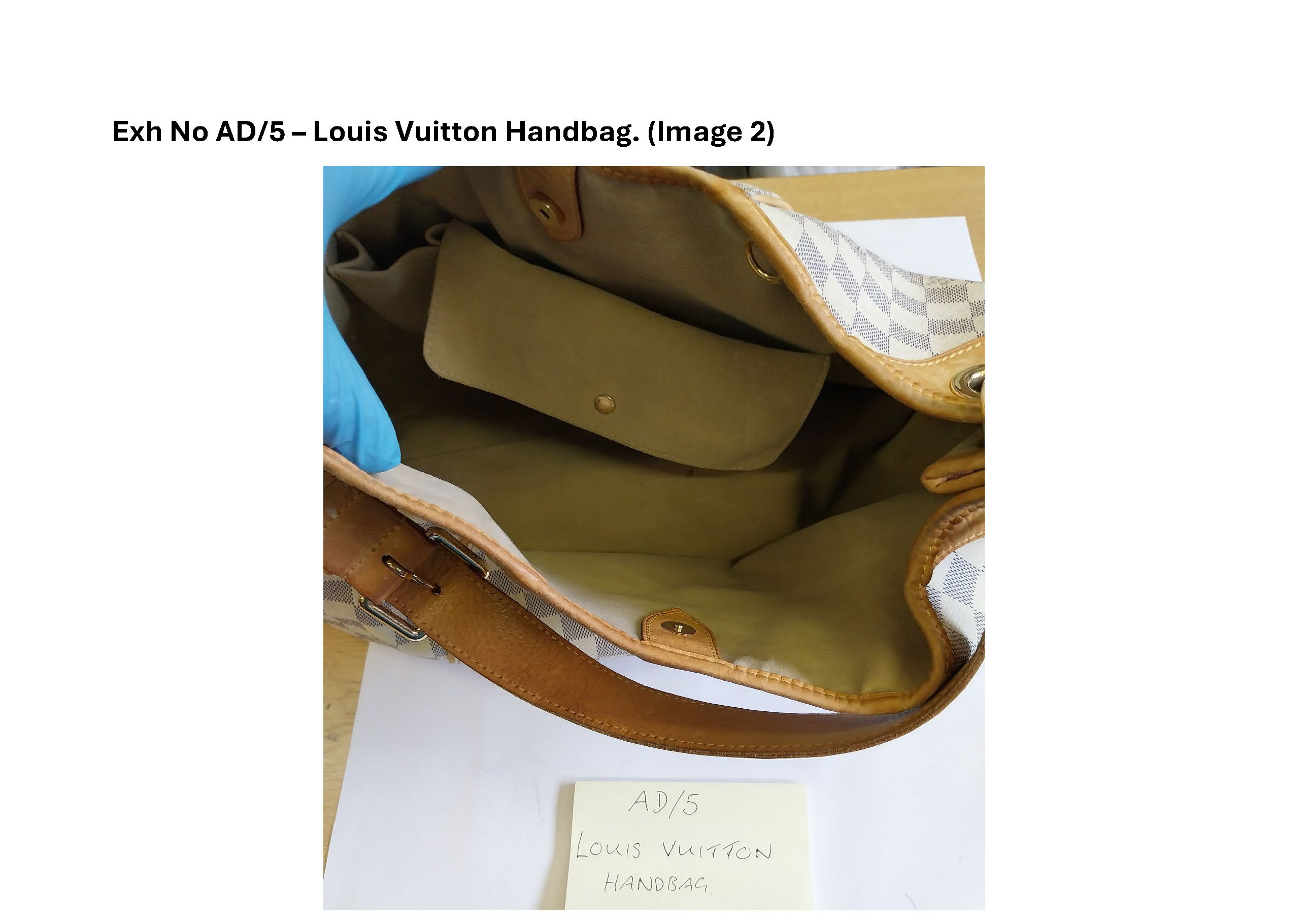 AD5 Louis Vuitton handbag - 2.jpg