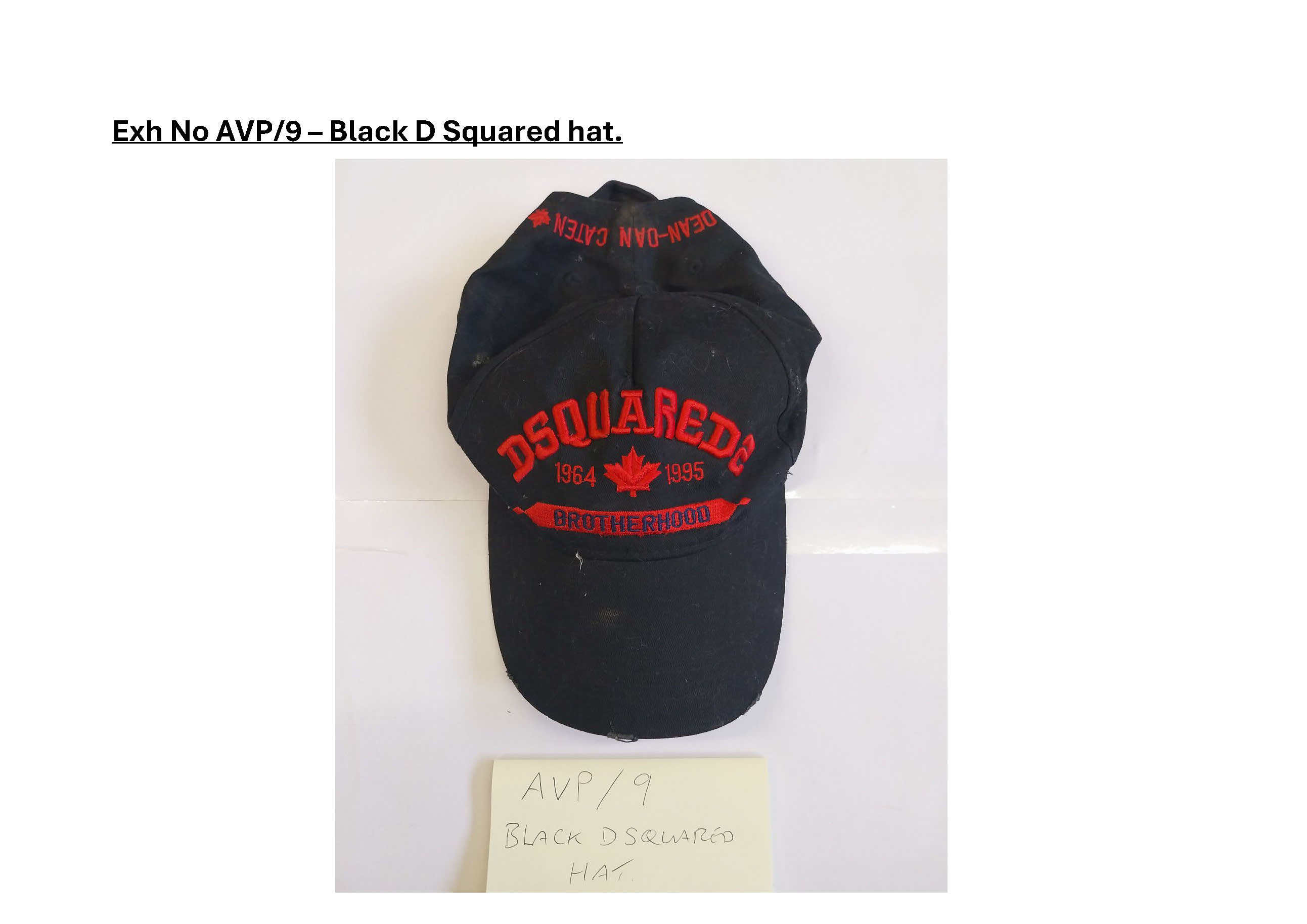 AVP9 Black D Squared hat.jpg