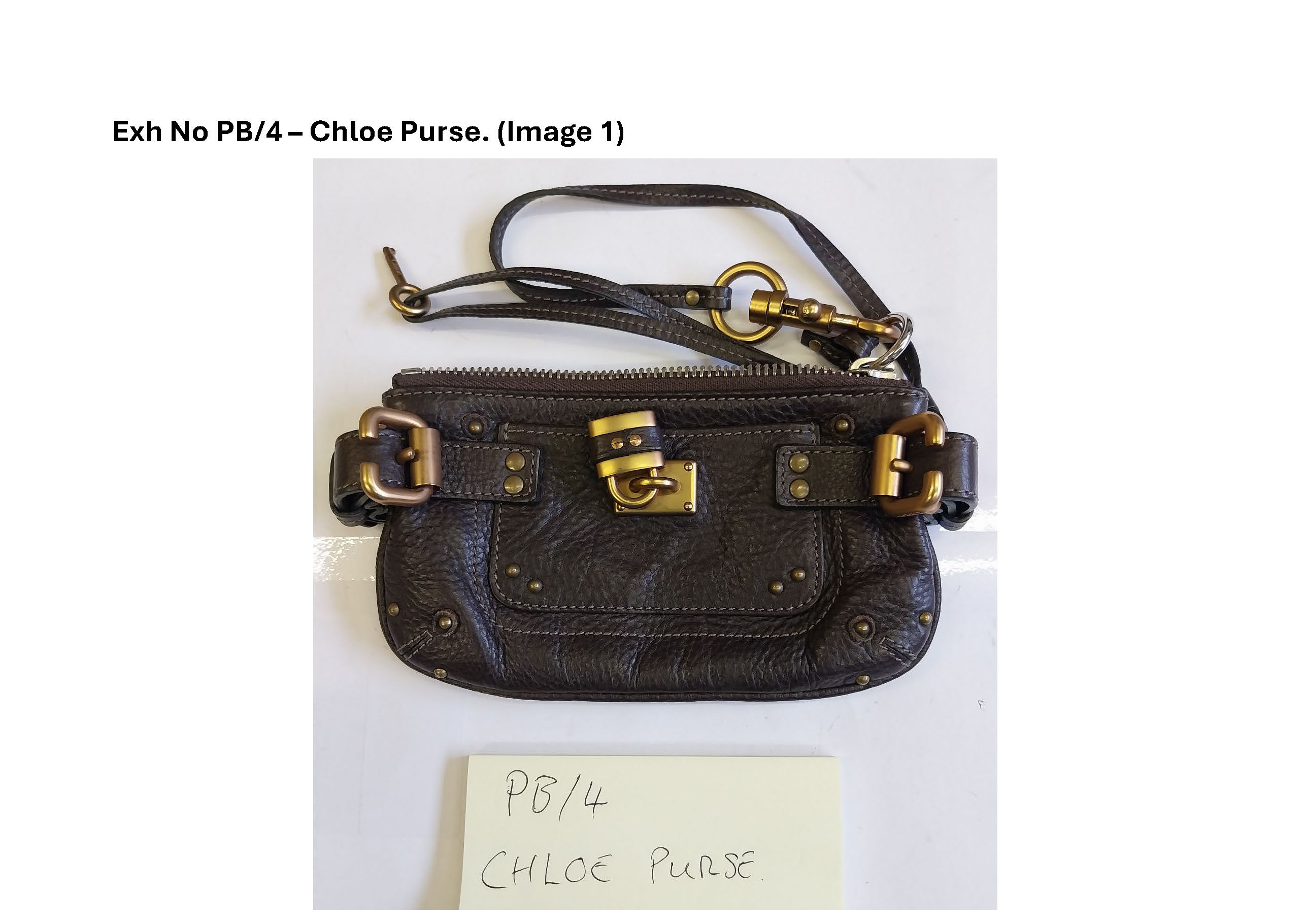 PB4 Chloe Purse - 1.jpg