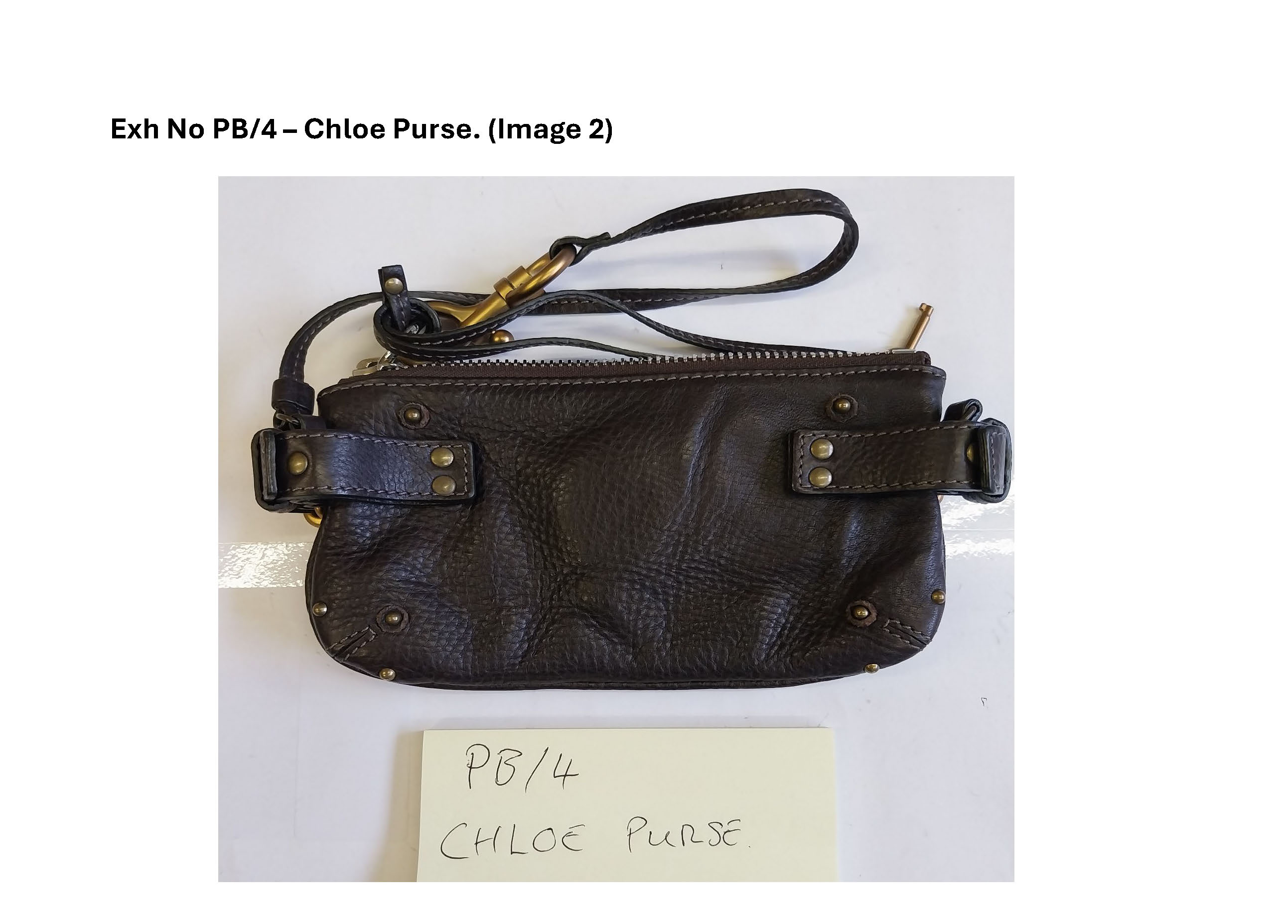 PB4 Chloe Purse - 2.jpg