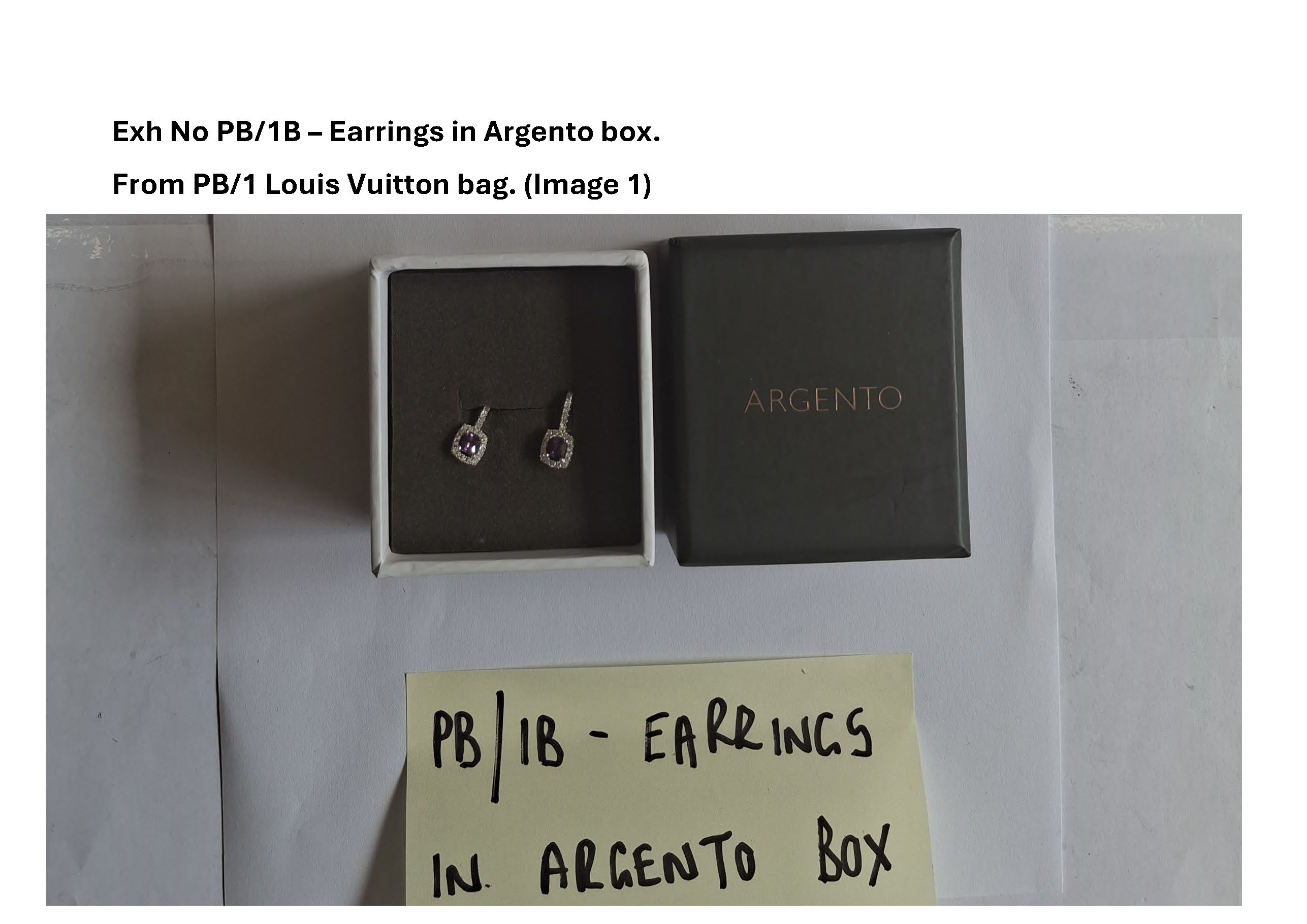 PB1B Earrings in Argento box - 1.jpg