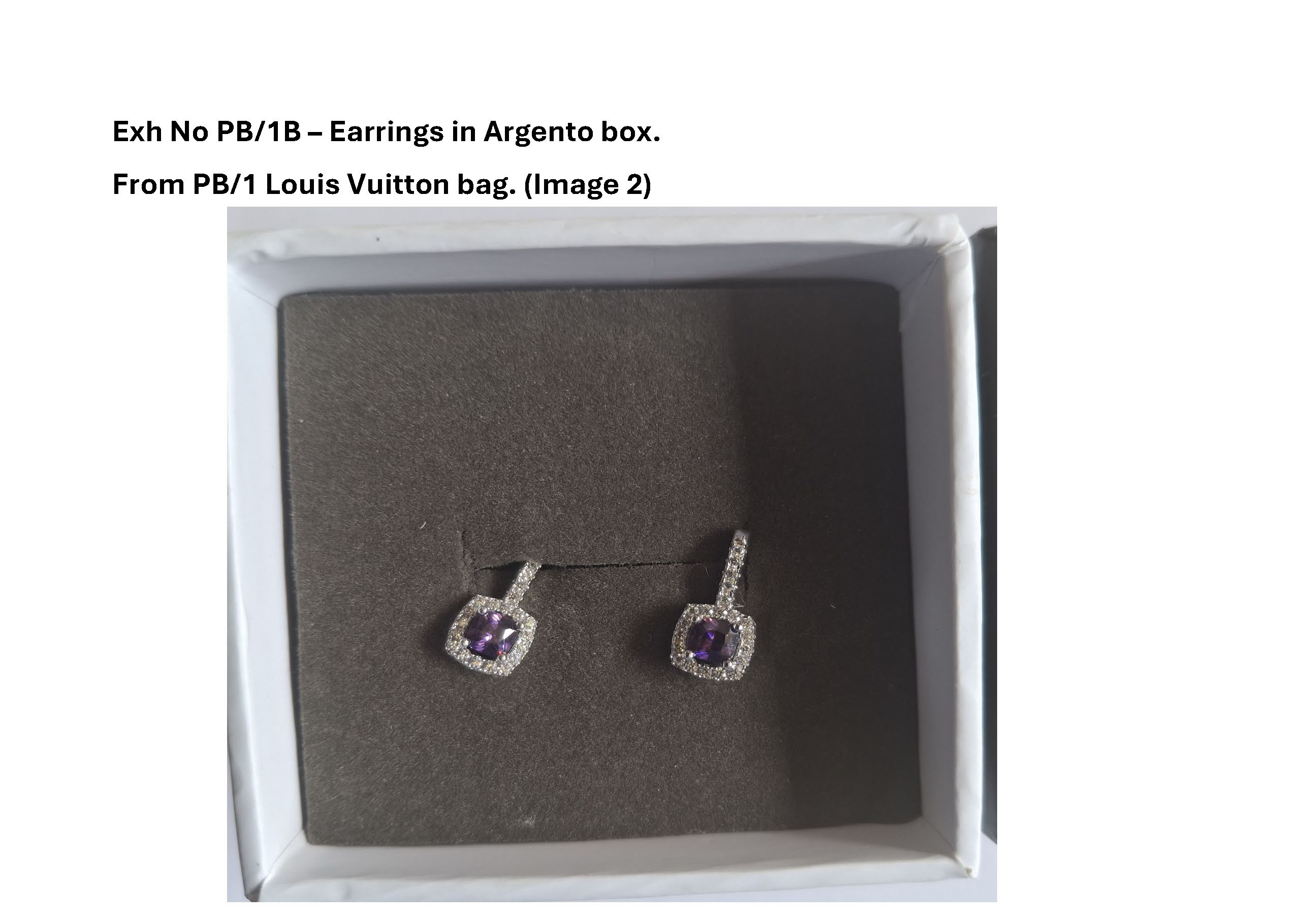 PB1B Earrings in Argento box - 2.jpg