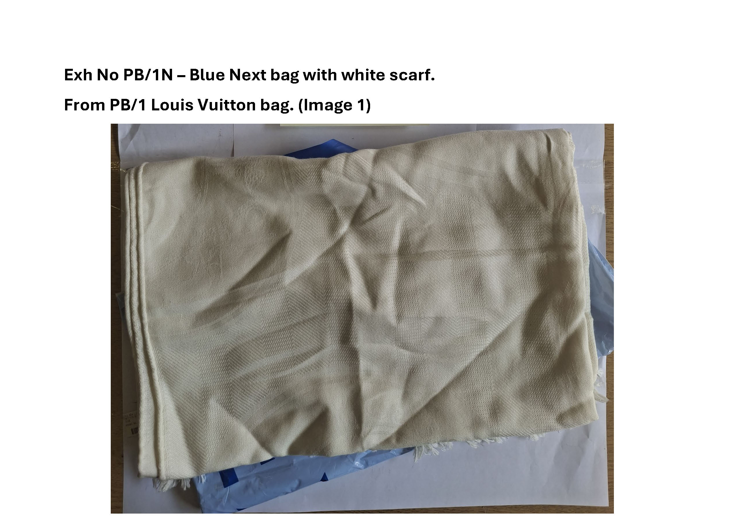 PB1N Blue Next bag with white scarf - 1.jpg