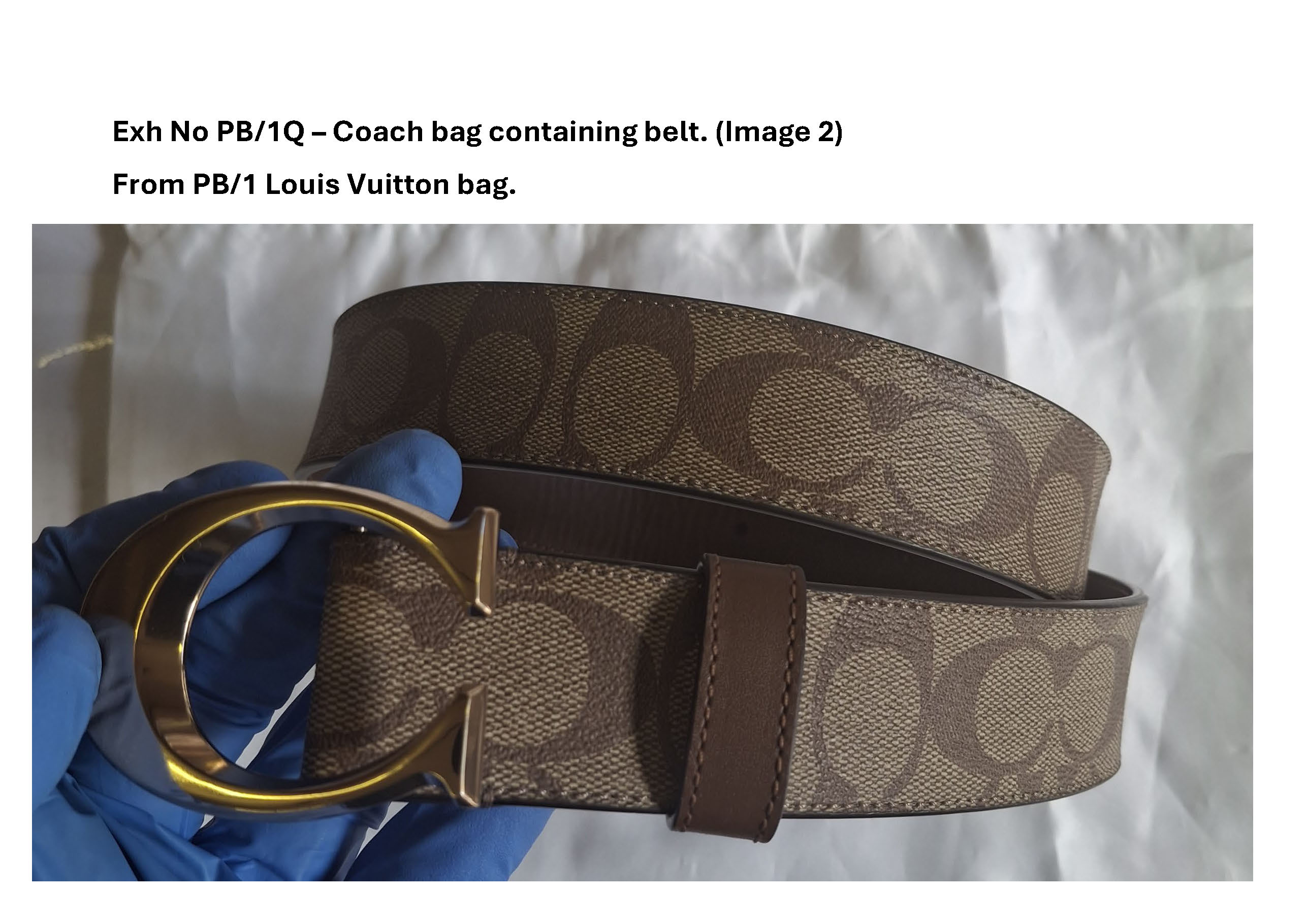 PB1Q - Coach bag containing belt - 2.jpg
