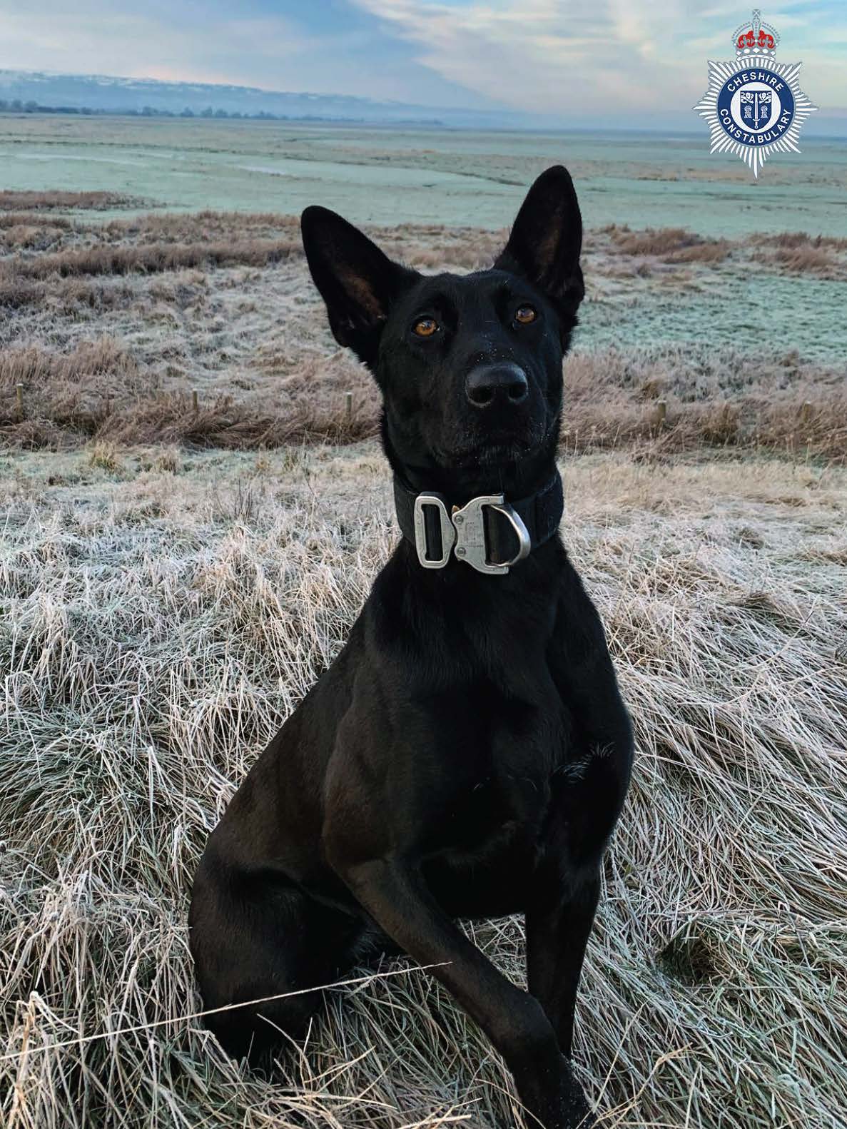 Freya