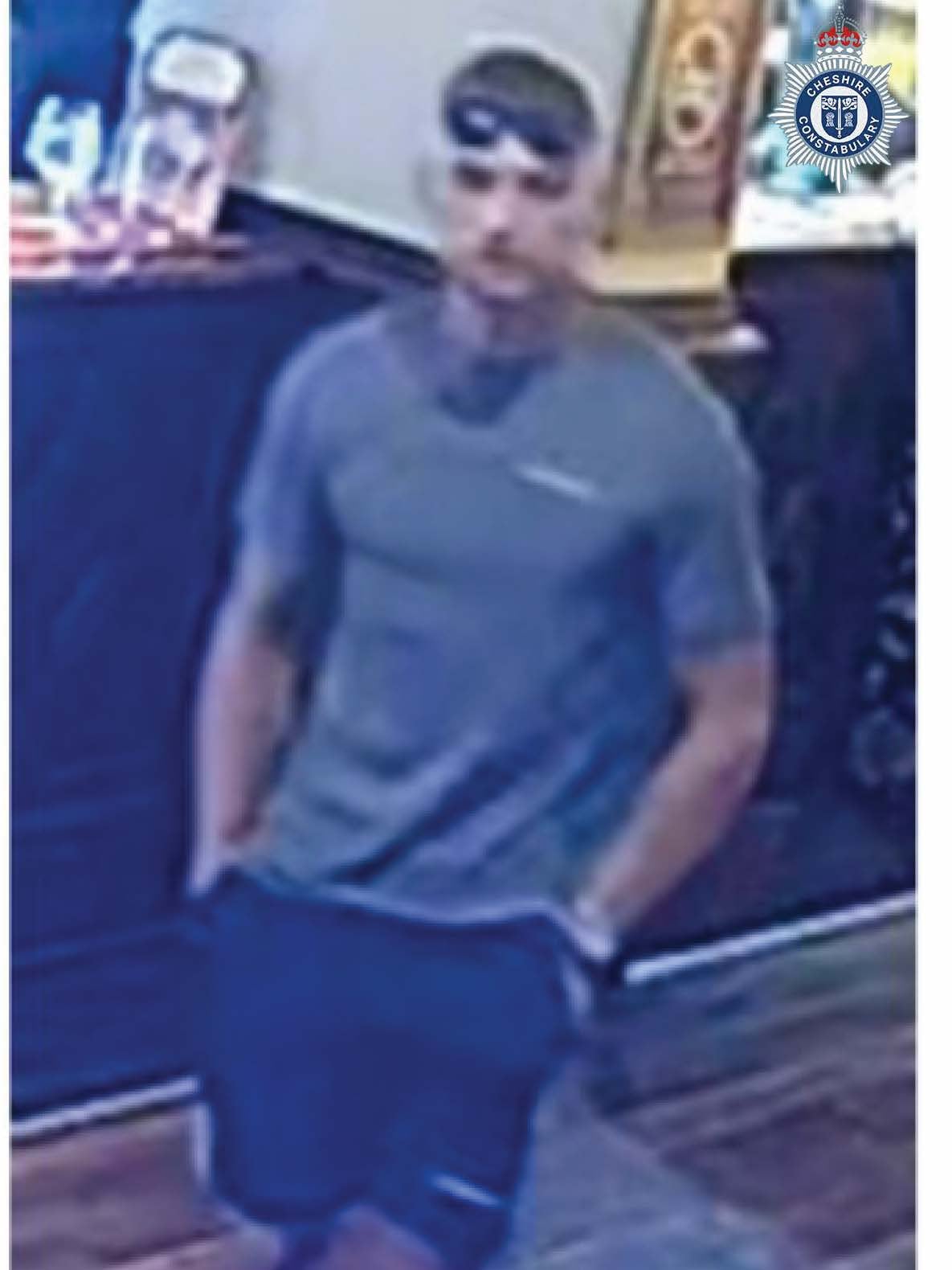 Chester CCTV 2 crest.jpg