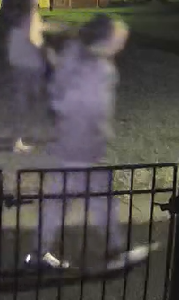 iMAGE 3.png
